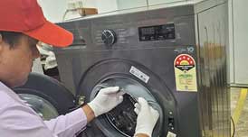 Annual Professional Service