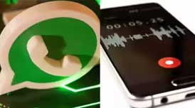 Call/WhatsApp