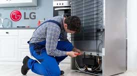 LG Fridge Service